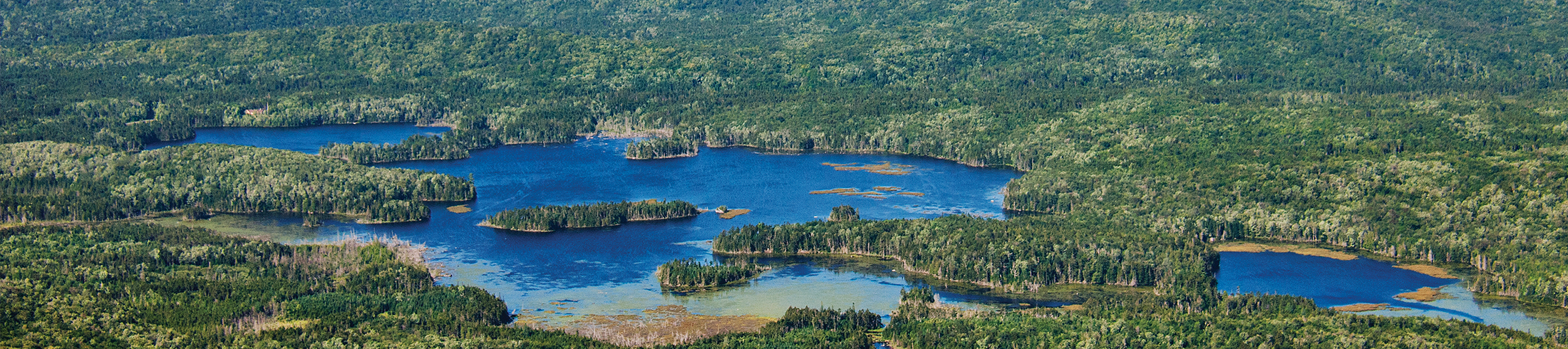 Wilderness for Boreas Ponds